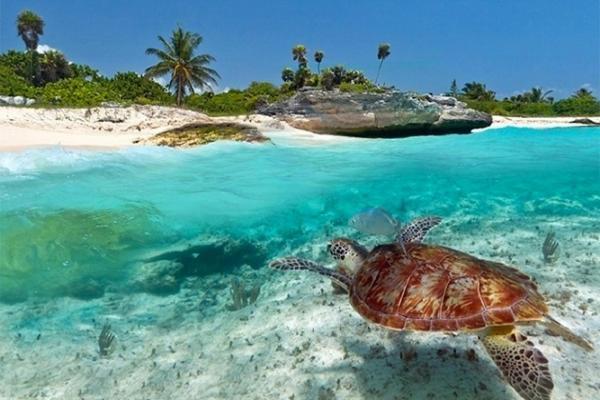 Kuwa Zanzibar Aparthotel Kiwengwa  Εξωτερικό φωτογραφία